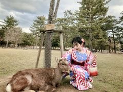 -枫雅和服体验(奈良店)