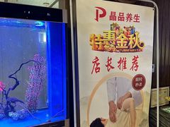 -臻享养生·SPA·影院式足道(汇臻店)