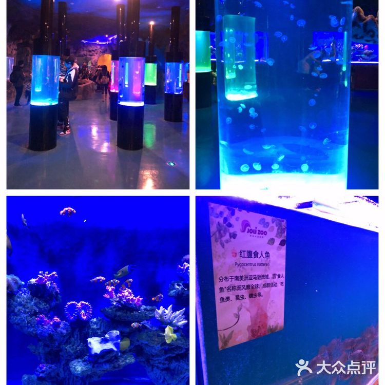 魔都室内动物园🐰~溜娃的好去处✌️