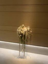 -恒美雅轩·品牌直营连锁