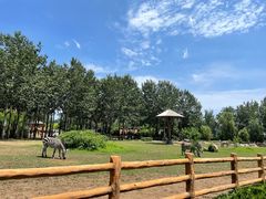 -大连森林动物园