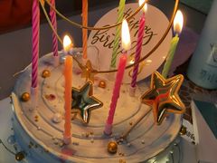 -维尔纳斯·生日蛋糕·动物奶油冰淇淋蛋糕(六里桥店)