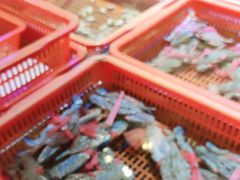 -巽寮印象美食部落餐厅·海鲜·地方特色菜(惠州体验店)