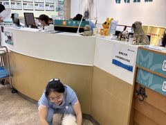 -美联众合动物医院·24h转诊中心