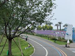 -空港花田景区