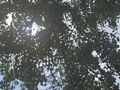 -青岛崂山太清宫