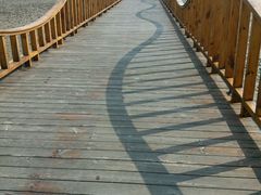 -红海滩国家风景廊道