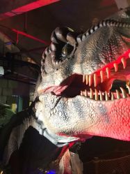 -恐龙探索乐园(磁器口店)