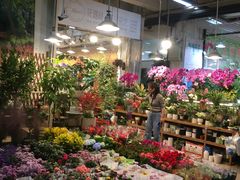 -双季花艺园艺市场(浦东店)