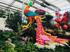 -兰陵国家农业公园