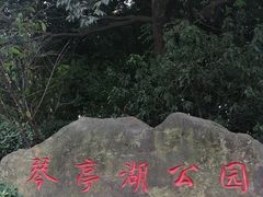 -琴亭湖公园