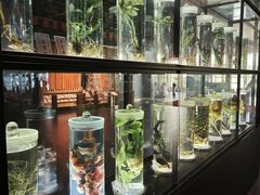 -广东中医药博物馆