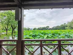 -高子水居