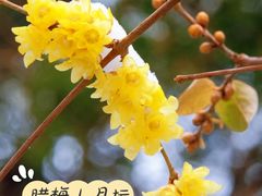 -月坛公园