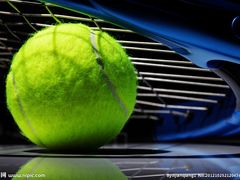 网球-布波运动公园羽毛球场