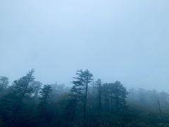 -秦岭风景区