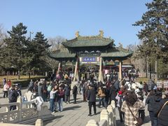 -晋祠公园