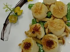 -南阳建业森林半岛假日酒店