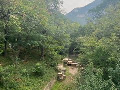 -佛慧山