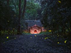 -灵谷景区