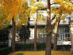 -国家图书馆·古籍馆