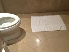 -合肥丰大国际大酒店