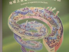 -辽宁古生物博物馆