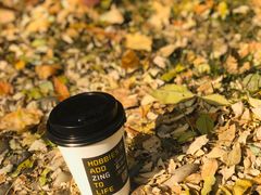 -ZING COFFEE 镜咖啡