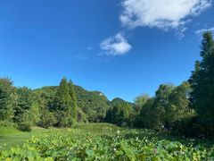 -贵阳市花溪国家城市湿地公园