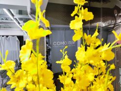 -COMO SALON 烫染可茉发型