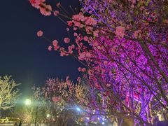 -凤城河风景区