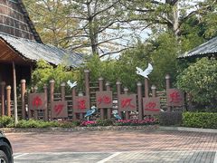 -大湾区中央湿地公园
