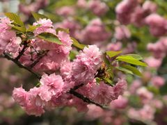 -苏州河梦清园环保主题公园