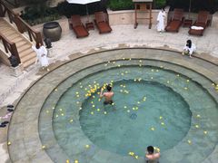-苏州湾王焰温泉度假酒店