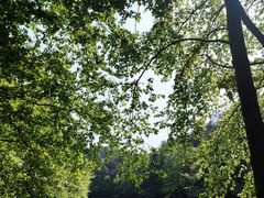 -青龙山国家森林公园