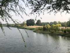 -东郊湿地公园