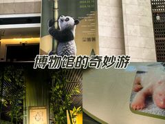 -深圳博物馆