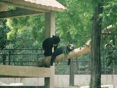 -石家庄市动物园