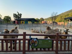 -无锡动物园·太湖欢乐园