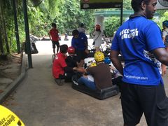 -圣淘沙天际线斜坡滑车
