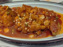 -席家花园(巨鹿花园店)