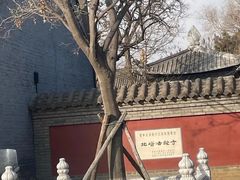 -护国法轮寺