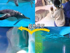 -大连圣亚海洋世界