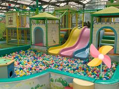 -南宫五洲植物乐园