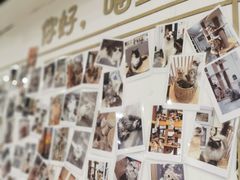 -楼上猫咖(罗湖店)
