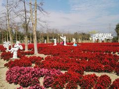 -广东花都香草世界旅游度假区