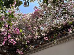 -深圳国际园林花卉博览园