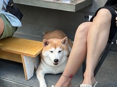 -Again Coffee Roaster(香蜜湖店)