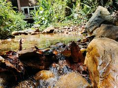 -飞霞风景名胜区