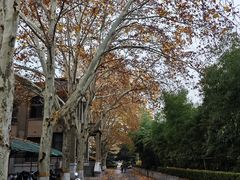 -河南师范大学(主校区)
